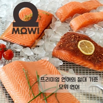 [모위코리아]항공직송 노르웨이생연어