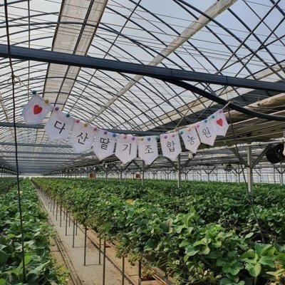 [경북] 다산딸기조합농원