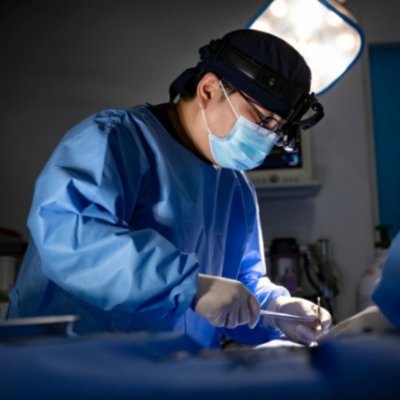 [대구] 수성메트로동물병원