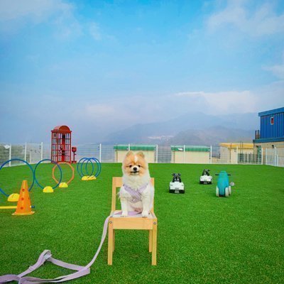 [가평] 멍스빌리지