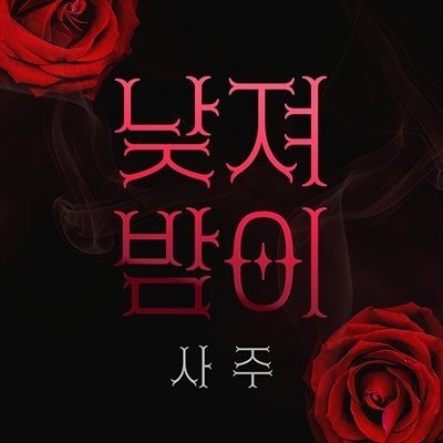 [음양관]낮져밤이 사주+스타일링가이드