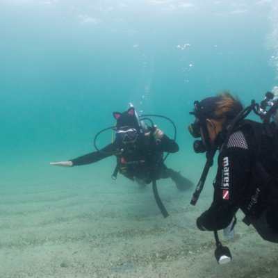 [제주] 우리동네 잠수하는 형들
