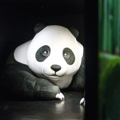 [대구] 글로우사파리 B