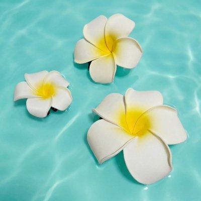 플루메리아꽃 헤어핀 SET
