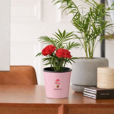 [메이크정글] 테이블야자&비누꽃 세트