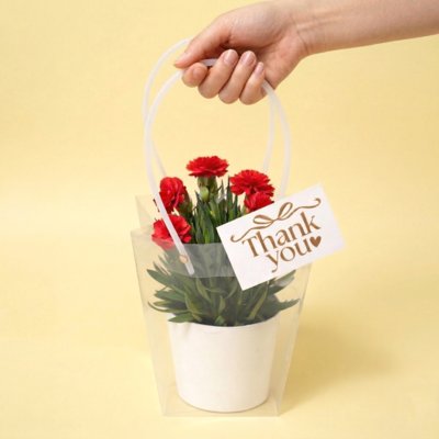 [메이크정글] 카네이션생화&화분 세트