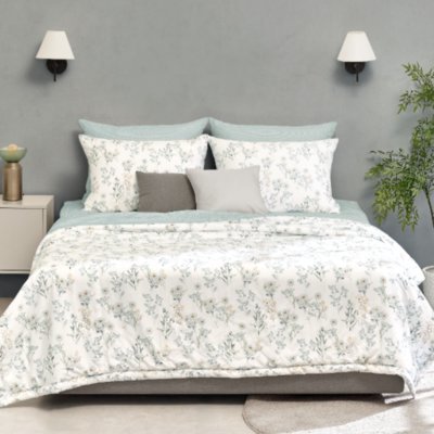 [대전] 알레르망 대전중구점