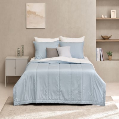 [전주] 알레르망 전주완산점