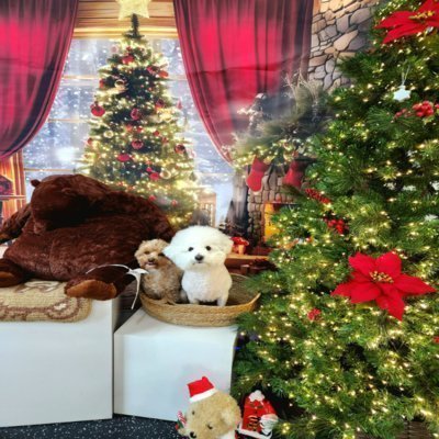 [남양주] 아지스테이션