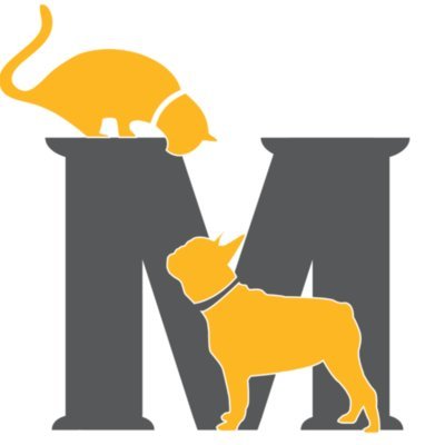 [하남] 미사동물병원_신속항원검사