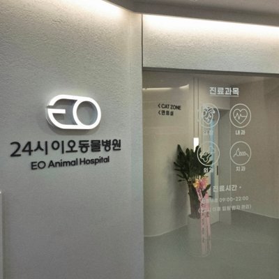 24시 이오동물병원