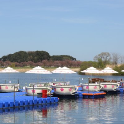 오죽헌 전통 뱃놀이 체험시설