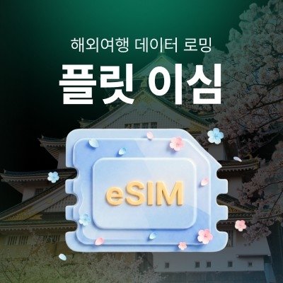 해외여행 eSIM