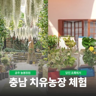 치유농장 체험