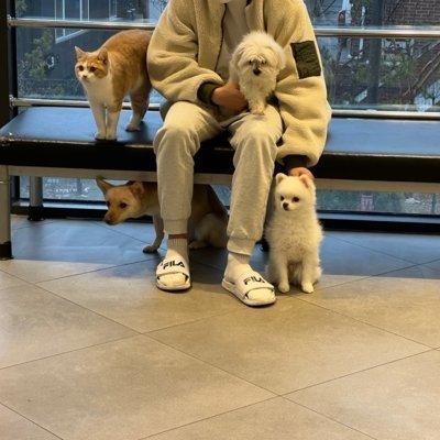 더편한동물병원