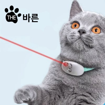 무빙 레이저 목줄