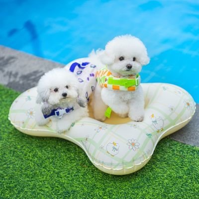 강아지튜브 애견 펫튜브