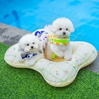 강아지튜브 애견 펫튜브