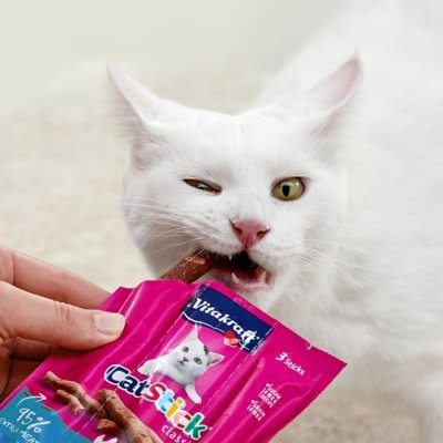 캣스틱