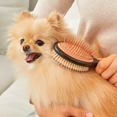 샤르르 양면 펫 브러쉬