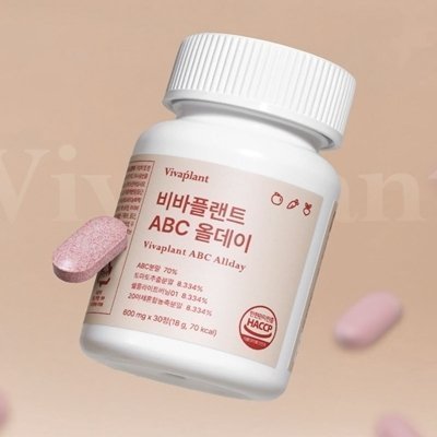 ABC 올데이