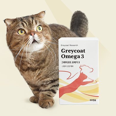 그레이코트 오메가3