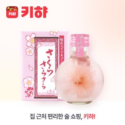 사쿠라 사라사라