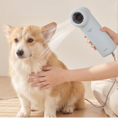 바디드라이어 바디베이직쿨