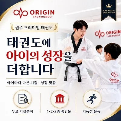 전문시스템분석 프리미엄태권도