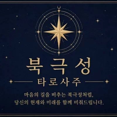 [남양주] 북극성 타로사주