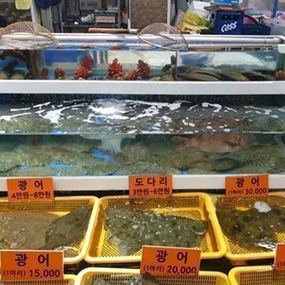 [강릉] 동해바다 횟집
