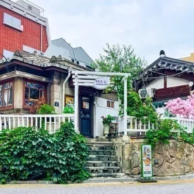[종로] 도토리브라더스 광화문본점