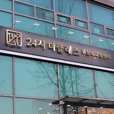 [성남]24시 더클래스 동물메디컬센터