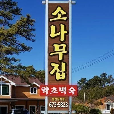 [양양] 소나무집약초백숙